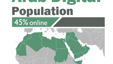 Arab Internet Users Statistics